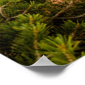 Nationaal park Canyonlands Poster (Hoek)