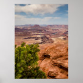 Nationaal park Canyonlands Poster (Voorkant)