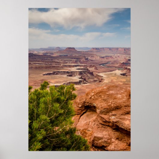 Nationaal park Canyonlands Poster (Voorkant)