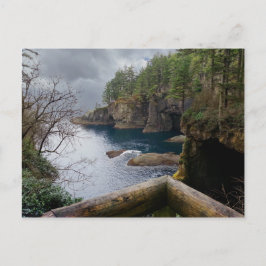 Nationaal park Cape Flattery Briefkaart