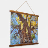 Nationaal park Capitol Reef, katoenhoutboom Hangend Wandkleed (Gebogen)