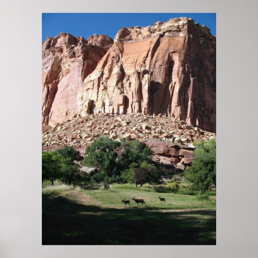Nationaal park Capitol Reef Poster (Voorkant)