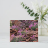 Nationaal park Capitol Reef, Utah, Verenigde State Briefkaart (Staand voorkant)