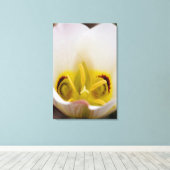 Nationaal Park Capitol Reef, Utah, Verenigde State Canvas Afdruk (Insitu (Houten vloer))