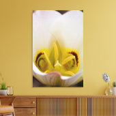 Nationaal Park Capitol Reef, Utah, Verenigde State Canvas Afdruk (Insitu (Woonkamer))