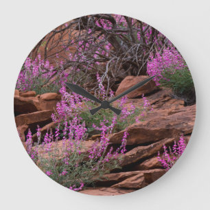 Nationaal park Capitol Reef, Utah, Verenigde State Grote Klok