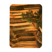 Nationaal park Capitol Reef Verenigde Staten, Utah Magneet (Verticaal)