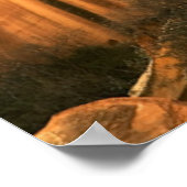 Nationaal park Capitol Reef Verenigde Staten, Utah Poster (Hoek)