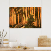 Nationaal park Capitol Reef Verenigde Staten, Utah Poster (Keuken)