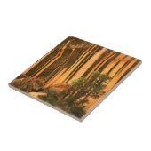 Nationaal park Capitol Reef Verenigde Staten, Utah Tegeltje (Zijkant)