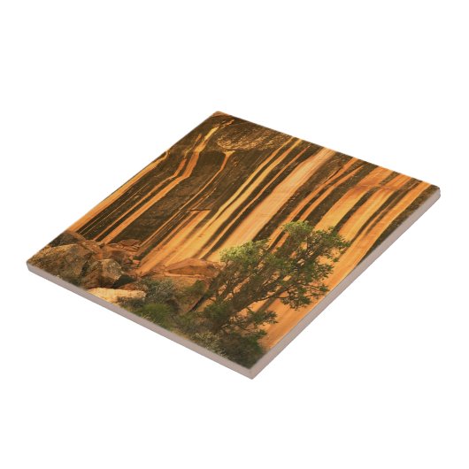 Nationaal park Capitol Reef Verenigde Staten, Utah Tegeltje (Zijkant)