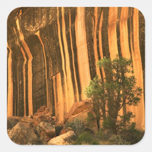 Nationaal park Capitol Reef Verenigde Staten, Utah Vierkante Sticker (Voorkant)