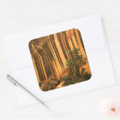 Nationaal park Capitol Reef Verenigde Staten, Utah Vierkante Sticker (Envelop)