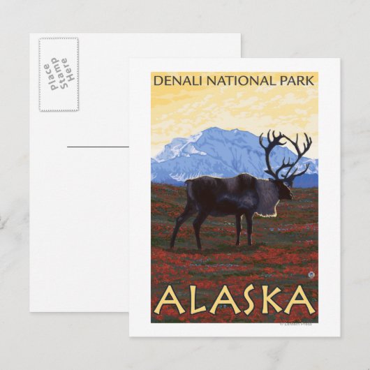 Nationaal Park Cariou Scene - Denali, Alaska Briefkaart (Voorkant / Achterkant)