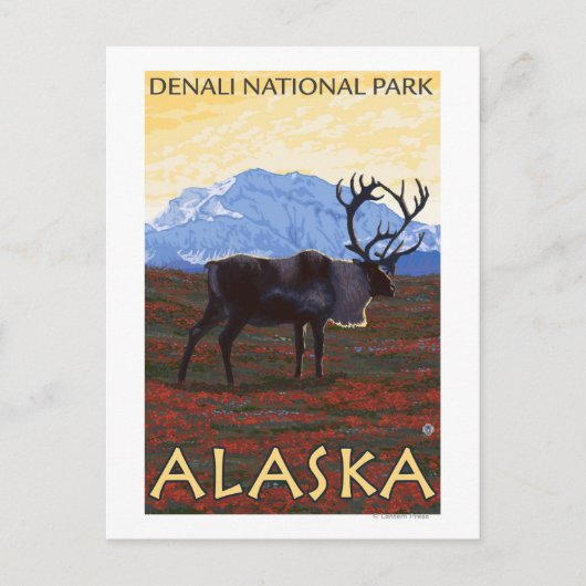 Nationaal Park Cariou Scene - Denali, Alaska Briefkaart (Voorkant)