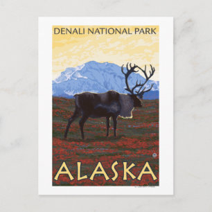 Nationaal Park Cariou Scene - Denali, Alaska Briefkaart