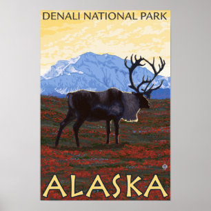 Nationaal Park Cariou Scene - Denali, Alaska Poster