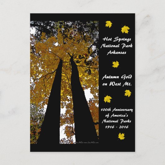 Nationaal Park Centennial Hot Springs Briefkaart (Voorkant)