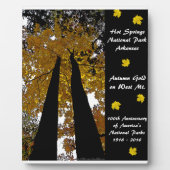 Nationaal Park Centennial Hot Springs Fotoplaat (Voorkant)