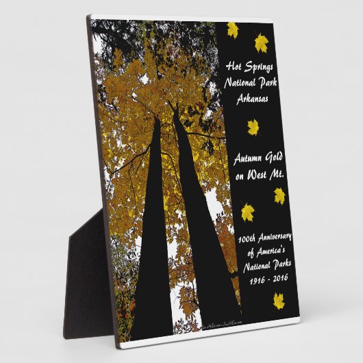 Nationaal Park Centennial Hot Springs Fotoplaat (Zijkant)