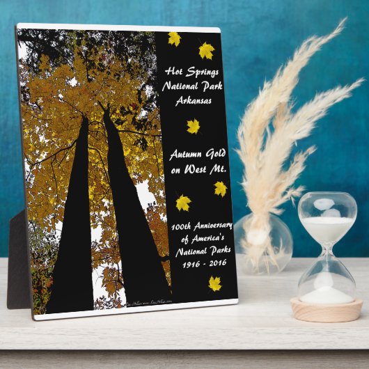 Nationaal Park Centennial Hot Springs Fotoplaat (Zijkant)