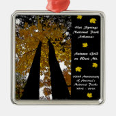 Nationaal Park Centennial Hot Springs Metalen Ornament (Voorkant)