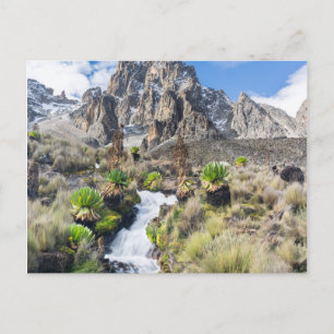 Nationaal park Central Mount Kenya Briefkaart