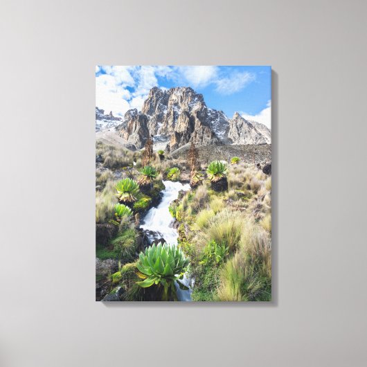 Nationaal park Central Mount Kenya Canvas Afdruk (Voorkant)