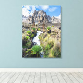 Nationaal park Central Mount Kenya Canvas Afdruk (Insitu (Houten vloer))