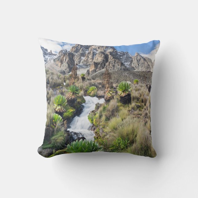 Nationaal park Central Mount Kenya Kussen (Voorkant)