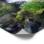 Nationaal park Central Mount Kenya Poster (Hoek)