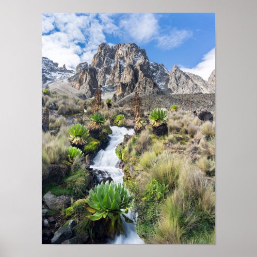 Nationaal park Central Mount Kenya Poster (Voorkant)