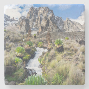 Nationaal park Central Mount Kenya Stenen Onderzetter