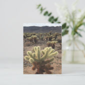 Nationaal park Cholla Gardens Joshua Briefkaart (Staand voorkant)