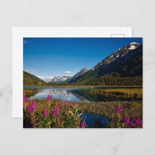 Nationaal park Chugach in het Alaska-gebergte Briefkaart (Voorkant / Achterkant)