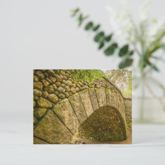 Nationaal park Cobblestone Bridge Acadia Briefkaart (Staand voorkant)