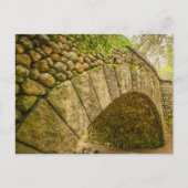 Nationaal park Cobblestone Bridge Acadia Briefkaart (Voorkant)