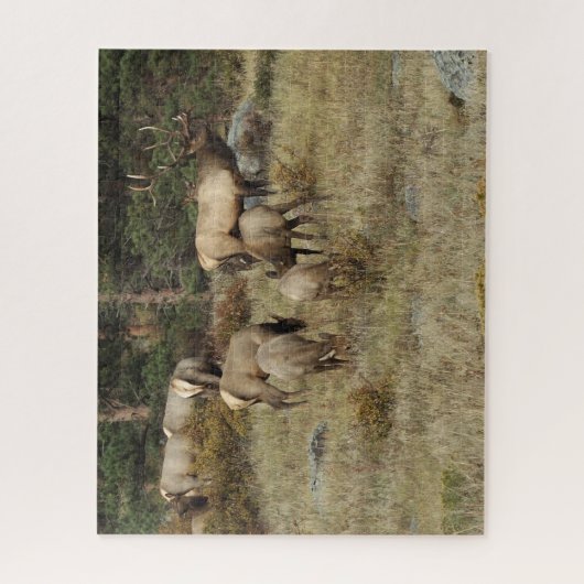 Nationaal park Colorado Elk Puzzle Legpuzzel (Verticaal)