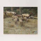 Nationaal park Colorado Elk Puzzle Legpuzzel (Horizontaal)