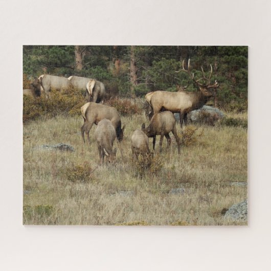 Nationaal park Colorado Elk Puzzle Legpuzzel (Horizontaal)