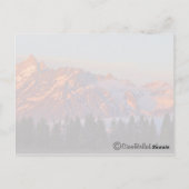 Nationaal park Colter Bay Grand Teton Briefkaart (Achterkant)