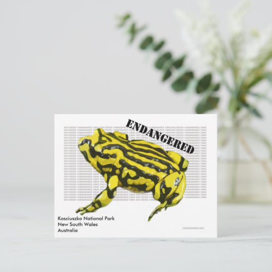 Nationaal park Corroboree Frog Kosciuszko Briefkaart (Staand voorkant)