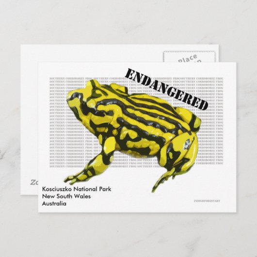 Nationaal park Corroboree Frog Kosciuszko Briefkaart (Voorkant / Achterkant)