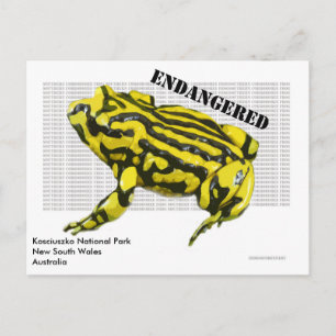 Nationaal park Corroboree Frog Kosciuszko Briefkaart