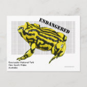 Nationaal park Corroboree Frog Kosciuszko Briefkaart (Voorkant)
