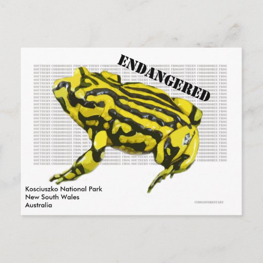 Nationaal park Corroboree Frog Kosciuszko Briefkaart (Voorkant)