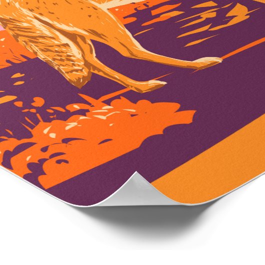 Nationaal park Coyote - Death Valley  Poster (Hoek)