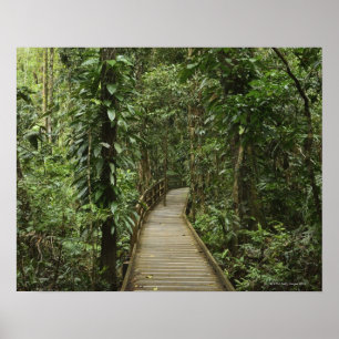 Nationaal park Daintree (werelderfgoed van de UNES Poster