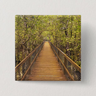 Nationaal park Daintree (werelderfgoed van UNESCO) Vierkante Button 5,1 Cm