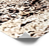 Nationaal park Death Valley Poster (Hoek)